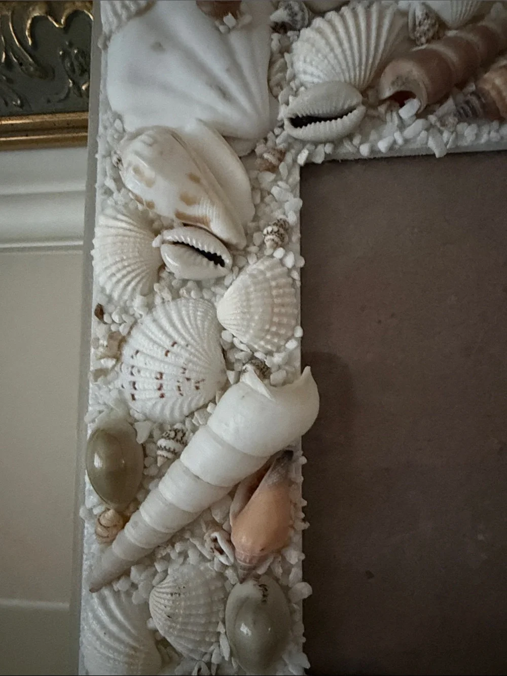 COOLEST Seashell Decorative 5” X 7” Photo Frame - White Shell Accent